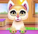 Kitty Ballerina Care And Dressup